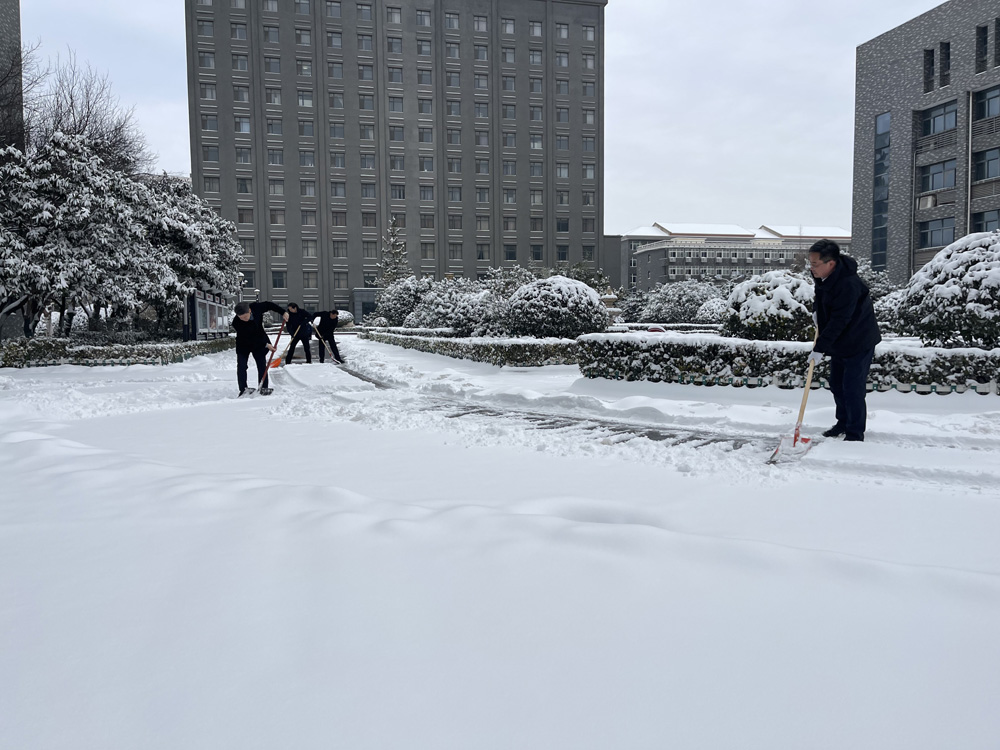 1768963943173687.jpg 1.jpg