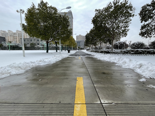 1768963977204373.jpg 5.jpg