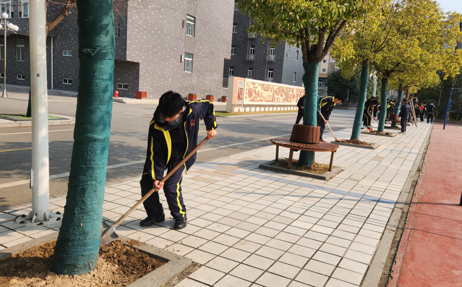 1773624870531756.jpg 1773624870531756.jpg