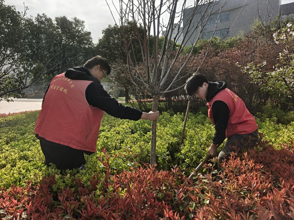 1774579830173424.jpg IMG_20260326_083308.jpg