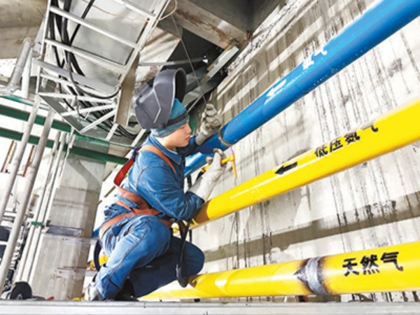 1774829042135069.jpg 1.jpg